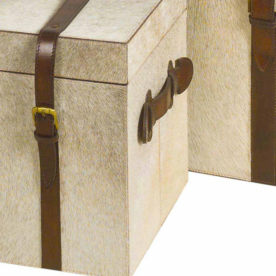 2 mbathje projektimi në kalë i vogël Ritini, të mëdha dhe të vogla Viadurini