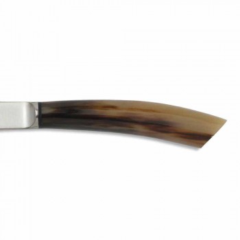 2 Thika bifteku me brirë ose dorezë druri Prodhuar në Itali - Marino