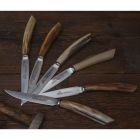 6 thika kuzhine artizanale me dorezë briri kau prodhuar në Itali - Detare Viadurini