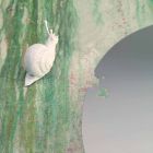 Dizajni Sconce Wall Leaf në Qeramikë të Bardhë dhe Kërmill - Dekorimi i Kërmillit Viadurini