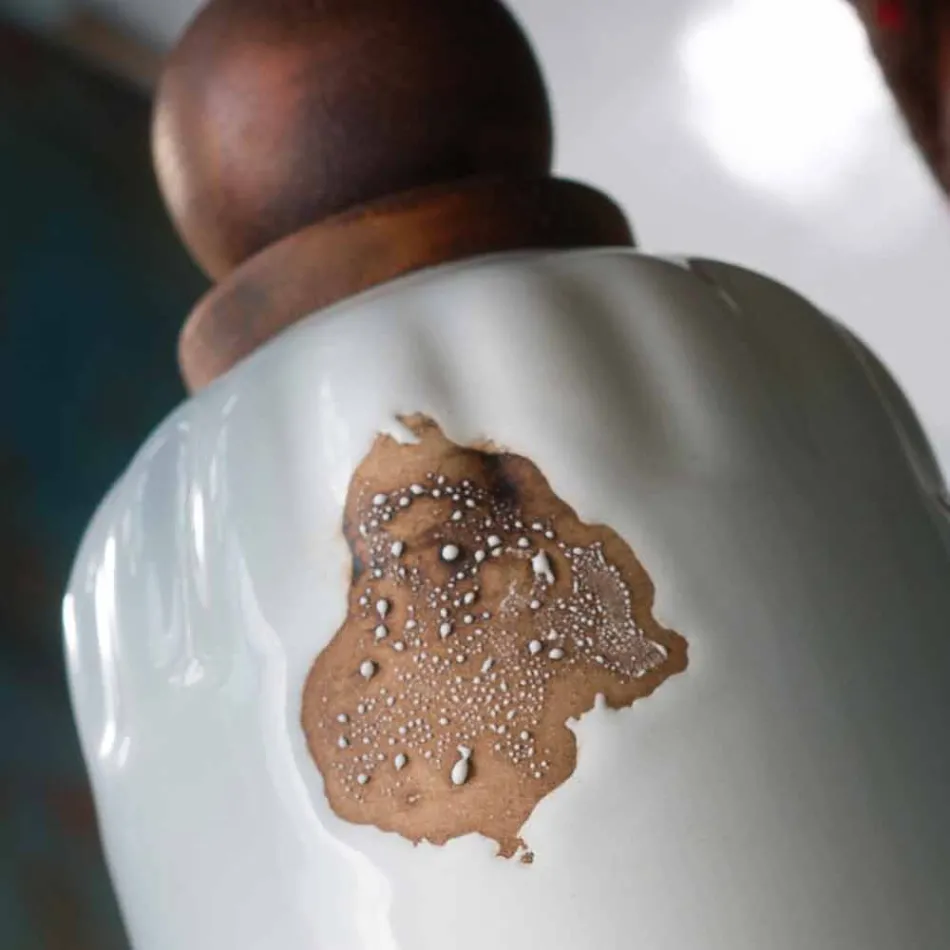 Dizajn aplikativ dhe tre dritë ndriçimi qeramike dhe metalike Lacey Viadurini