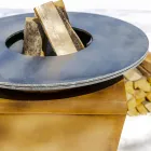 Barbecue me djegie druri me pjatë gatimi dhe ndarje mbajtëse druri - Ferran Viadurini