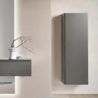 Raft rrobash prej melamine të llakuar me derë MDF dhe raft të brendshëm - Lunis Viadurini