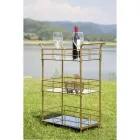 Karrocë Ushqimi me Strukturë Hekuri Gold Finish - Viviana Viadurini