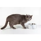 Qentë dhe macet tas në mermerin e bardhë Carrara të bërë në Itali - Ciotta Viadurini