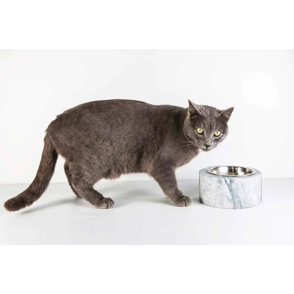 Qentë dhe macet tas në mermerin e bardhë Carrara të bërë në Itali - Ciotta Viadurini