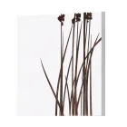 Përbërja e 4 paneleve me Hydrangeas, Allium dhe Thypha Made in Italy - Llogaritja Viadurini