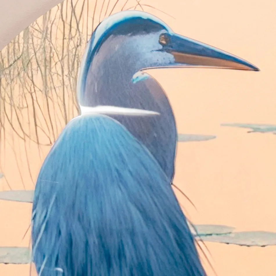 Përbërja e pikturave prej druri me printim zogu Prodhuar në Itali - Belize Viadurini