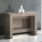 Konsola e zgjatur deri në 300 cm nga hyrja ose dhoma e ndenjes në dru - Katharina Viadurini