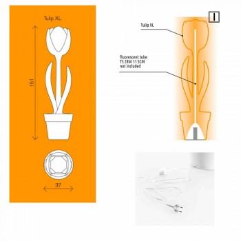 Dekorimi i Ndritshëm për Brendësinë e Dizajnit Modern - Tulipani nga Myyour