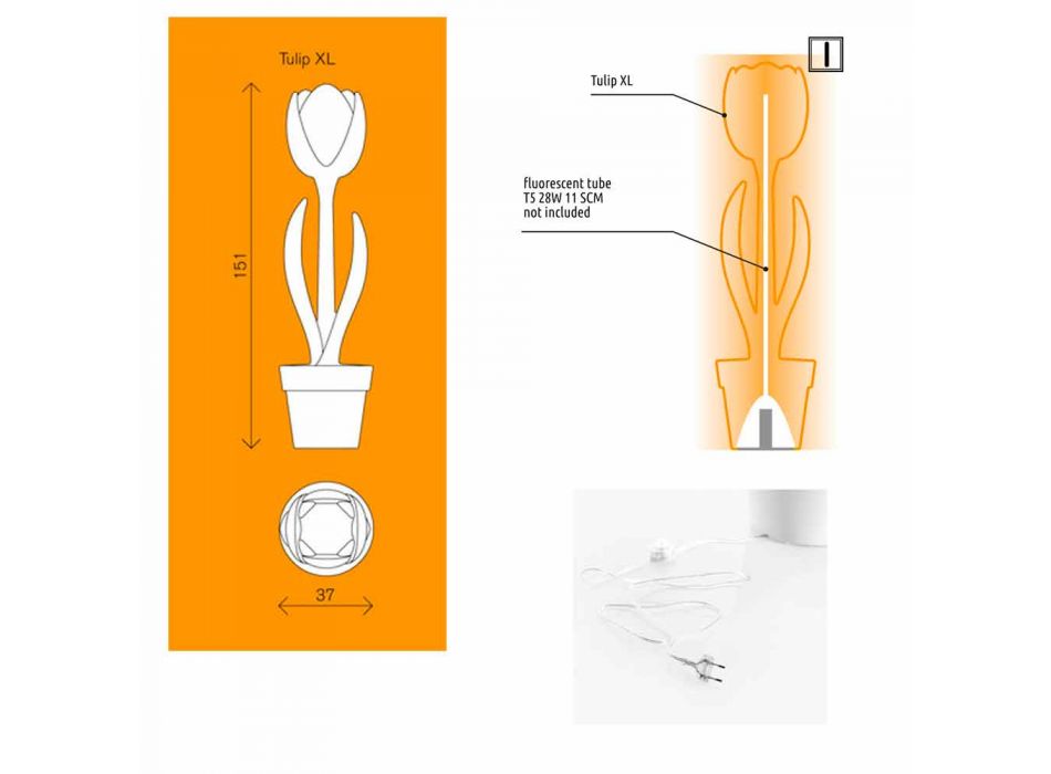 Dekorimi i Ndritshëm për Brendësinë e Dizajnit Modern - Tulipani nga Myyour Viadurini