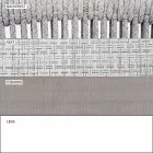 Pëlhurë e shtruar me dy palë në natyrë Stackable - Smart nga Varaschin Viadurini