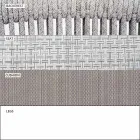 Pëlhurë e shtruar me dy palë në natyrë Stackable - Smart nga Varaschin Viadurini