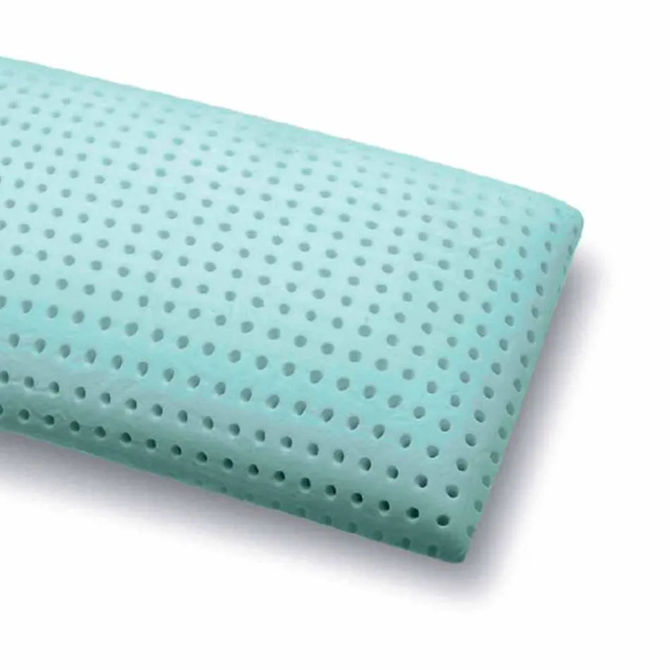 Jastëk në kujtesë Aloe Ndjeheni të shpuar 15 cm të larta Made in Italy - Limoges Viadurini