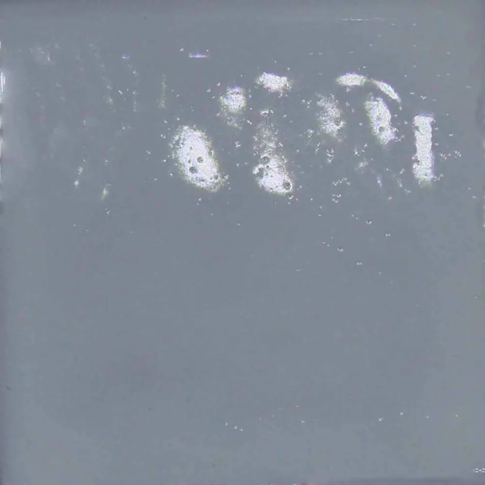 Llambë varëse qeramike për përbërjen Battersea - Toscot Viadurini