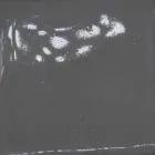 Llambë varëse qeramike për përbërjen Battersea - Toscot Viadurini