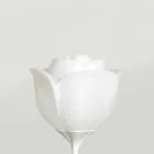 Llambë dyshemeje për Lule Plastike të Brendshme - Dashuria e Foshnjës nga Myyour Viadurini