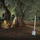 Llambë dyshemeje në natyrë në projektin e bardhë teknopolimer të 3 formave - Mjetet Viadurini