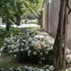 Llambë dyshemeje kopshti me dizajn të bardhë alumini me gjethe zambaku uji - Cipriam Viadurini