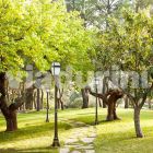 Dritë rruge për natyrë klasike e bërë në Itali, Kristel Viadurini