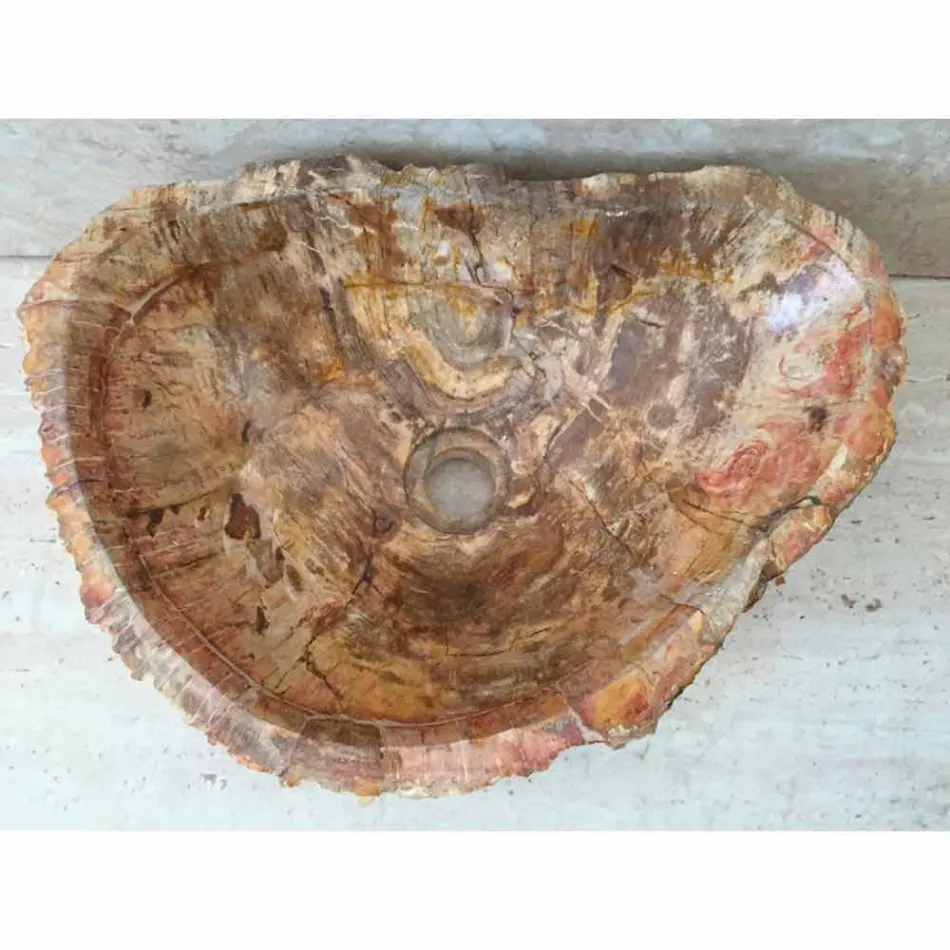 Larje banjo me fosile ylli në këmbë yll, një dizajn unik Viadurini