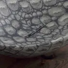 Dizenjoni lavazhin e banjës me pllaka qeramike të bërë në Itali Kafshët Viadurini