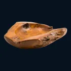 Larja e lavanderi prej druri tik prej druri teqesh Nemo Viadurini