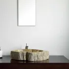 Mbajtësja e sipërfaqes së drurit të fosileve Goa Viadurini