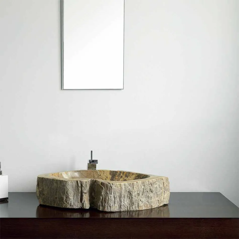 Mbajtësja e sipërfaqes së drurit të fosileve Goa Viadurini