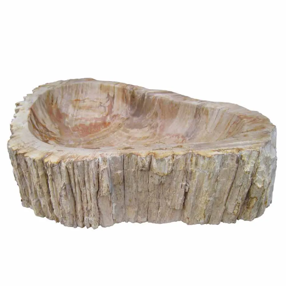 Shenjë druri Fosile countertop Goa pjesë e vetme Viadurini