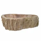 Shenjë druri Fosile countertop Goa pjesë e vetme Viadurini