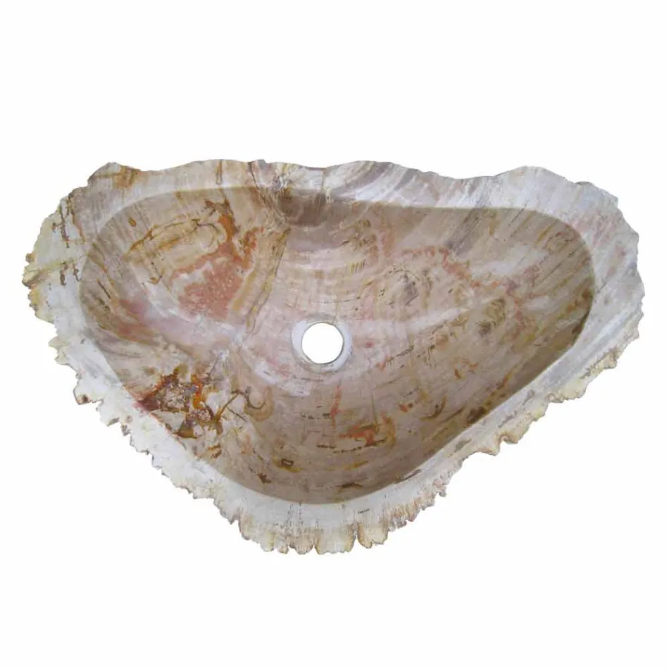 Shenjë druri Fosile countertop Goa pjesë e vetme Viadurini