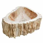 Shenjë druri Fosile countertop Goa pjesë e vetme Viadurini