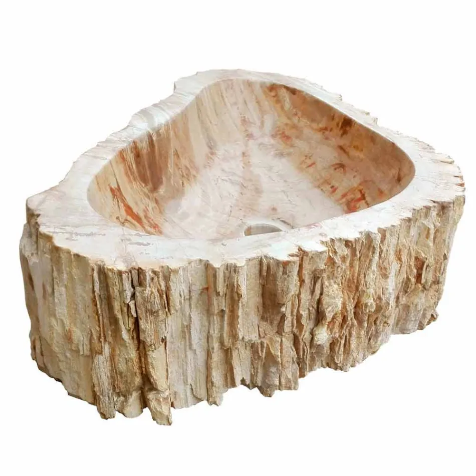 Shenjë druri Fosile countertop Goa pjesë e vetme Viadurini