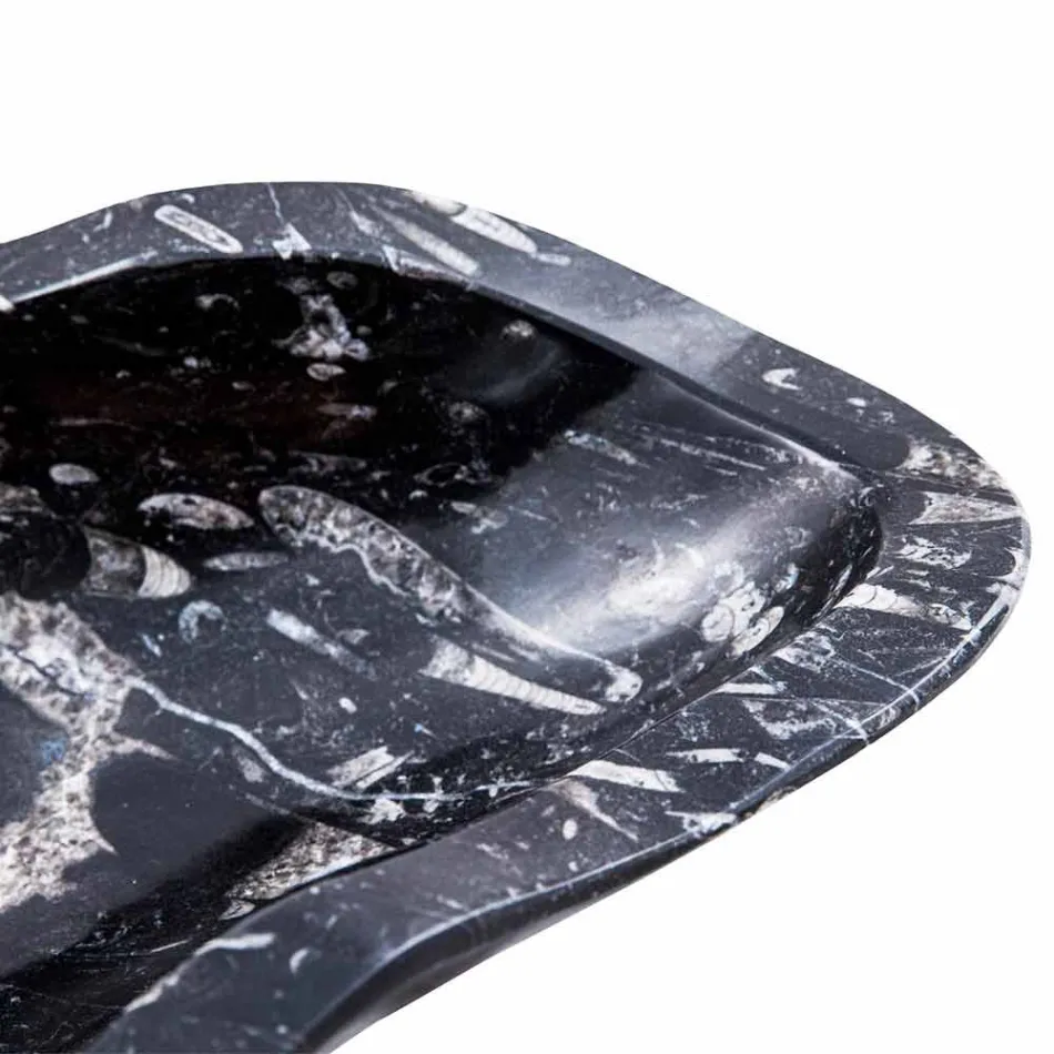 Lavaman mermeri me fosile mbështetëse moderne - Burgeo Viadurini