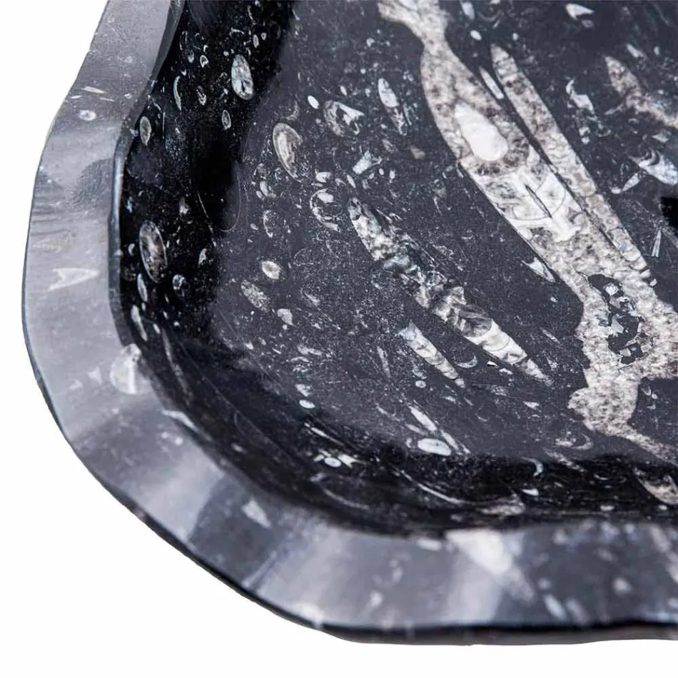 Lavaman mermeri me fosile mbështetëse moderne - Burgeo Viadurini