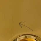 Lavaman banak modern në qeramikë ari i prodhuar në Itali Sofje Viadurini