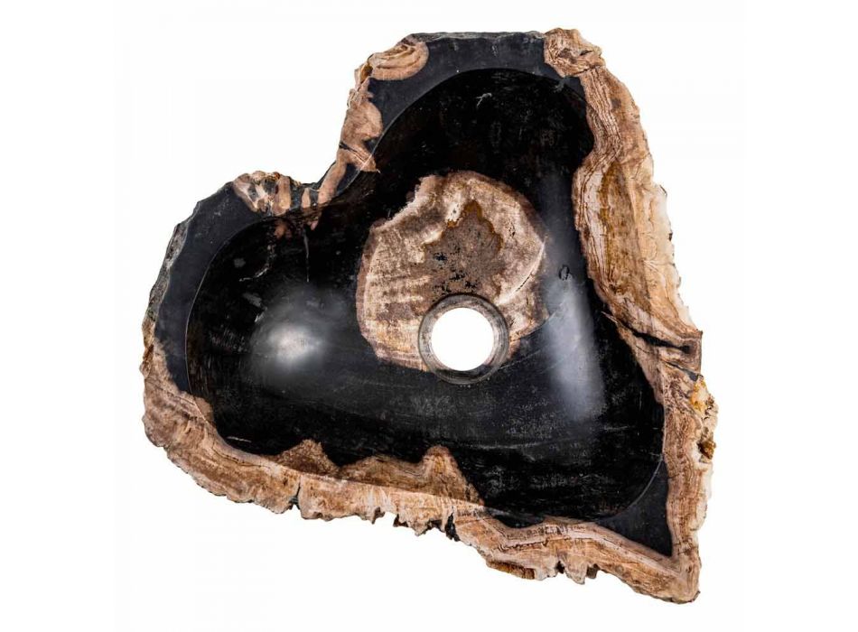 Lavaman i bërë me dorë në dru fosil, Neirone Viadurini