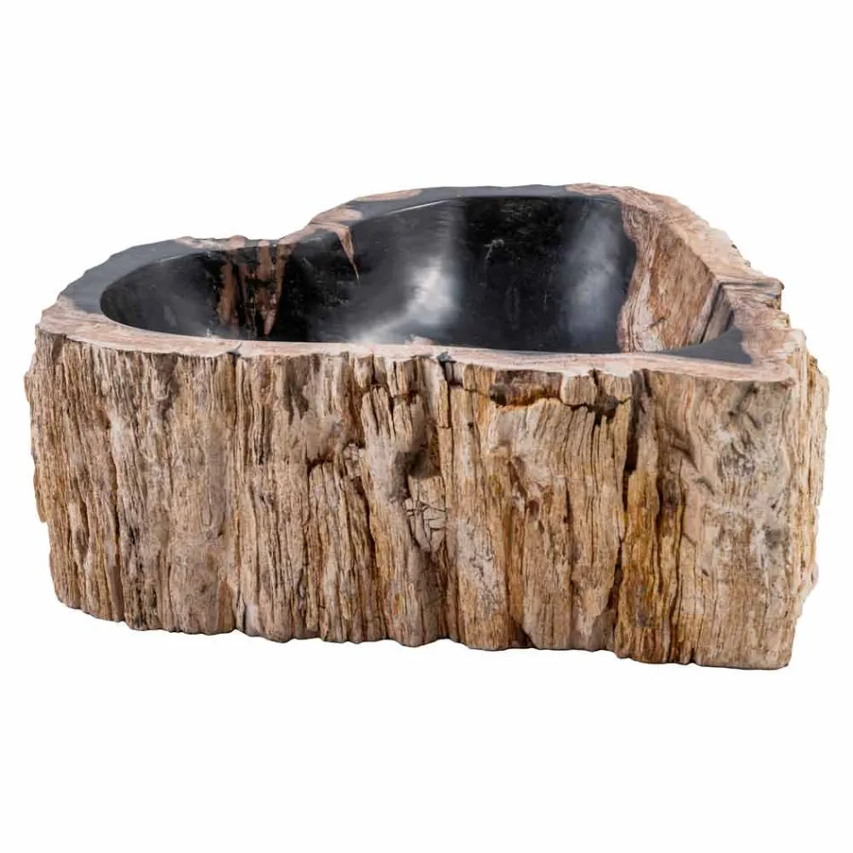 Lavaman i bërë me dorë në dru fosil, Neirone Viadurini