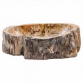 Larje dore për banjë në dru fosil, Neviglie, copë unike