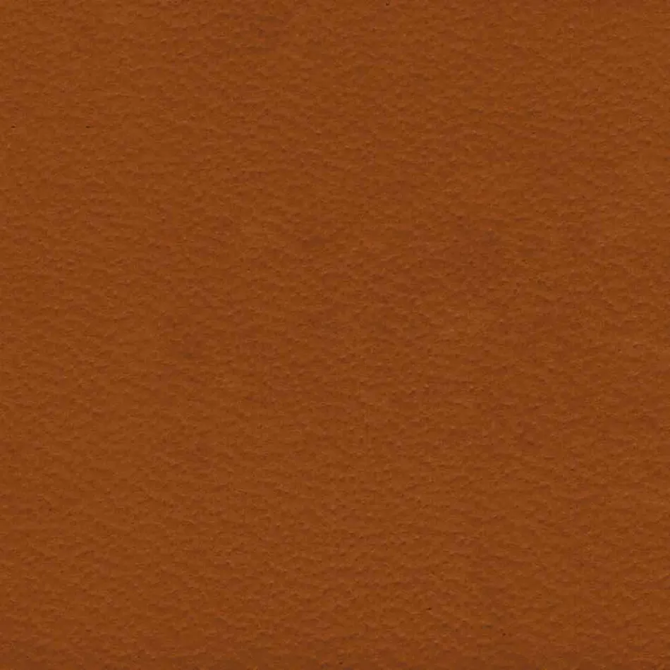 Dizajni Lory, raft i murit të ngritur në mur, i bërë në Itali Viadurini