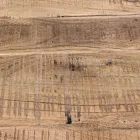 Tabela bufeje prej druri dhe çeliku të akacies 2 dyer dhe 3 sirtarë Homemotion - Aimune Viadurini