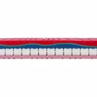 Dyshek i vetëm në Kujtesë Cilësore 25 cm i lartë Made in Italy - Platinum Viadurini