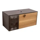 Dollap Banjo i Varur në Mur 100 cm prej Qelqi të Temperuar 8 mm dhe Lisi Europian - Excelsior Viadurini