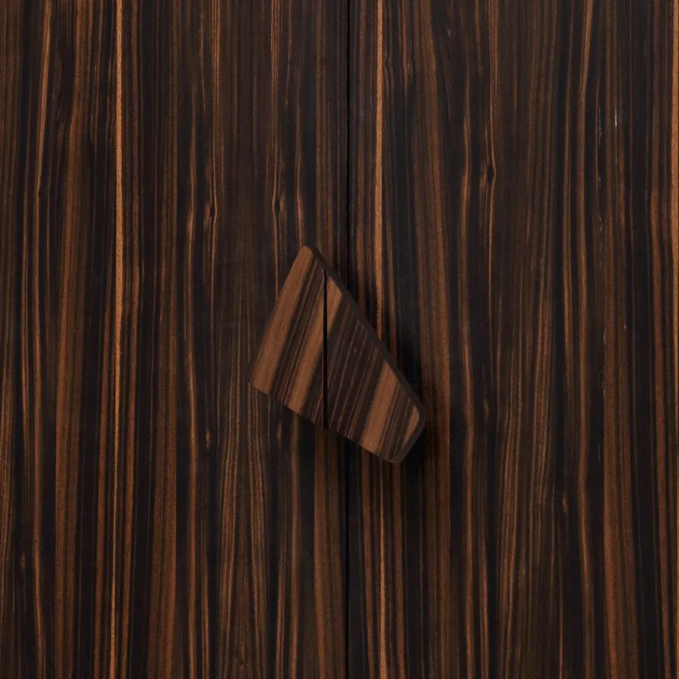 Grilli Zarafa kabinet për shirita të projektimit me dy dyer të bëra prej druri me gjemba në Itali Viadurini