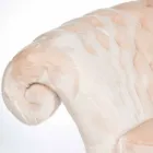 Balma capitonnè kolltuk leshi klasik faux Viadurini