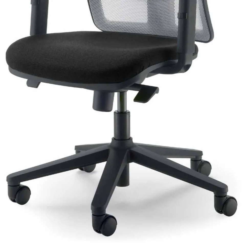 Kolltuk ekzekutiv me zë të lartë të bërë në Itali Amelie Viadurini