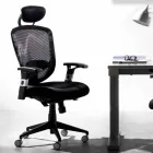 Kolltuk modern i kthyeshëm gjysmëdrejtor dhe operacional në Reta të Zezë - Simona Viadurini