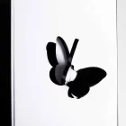 Mbështetëse e Ombrellës së Zezë Plexiglas me Gdhendje dhe Dekorime 3D, Dizajn Modern - Farfo Viadurini