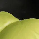 dizajn osman në lëkure faux brendshme dhe të jashtme detare Potus Viadurini